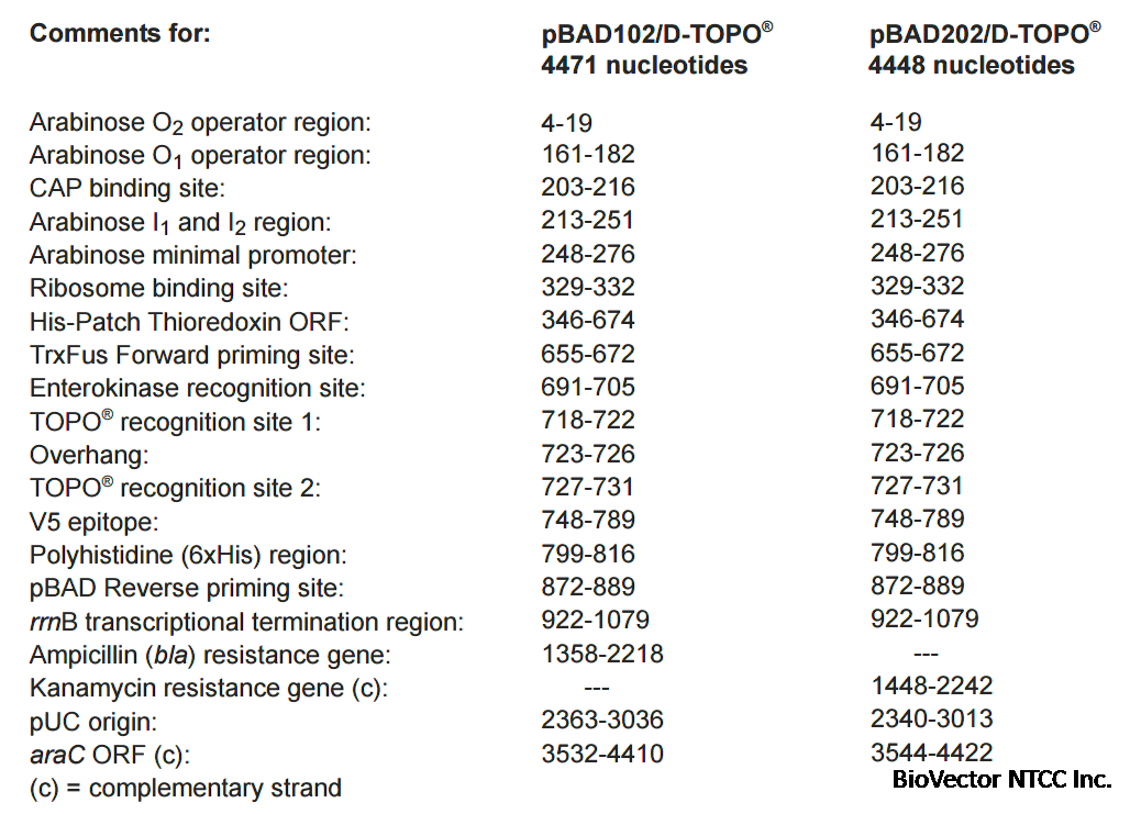 pBAD102-D-TOPO 特征位点.gif