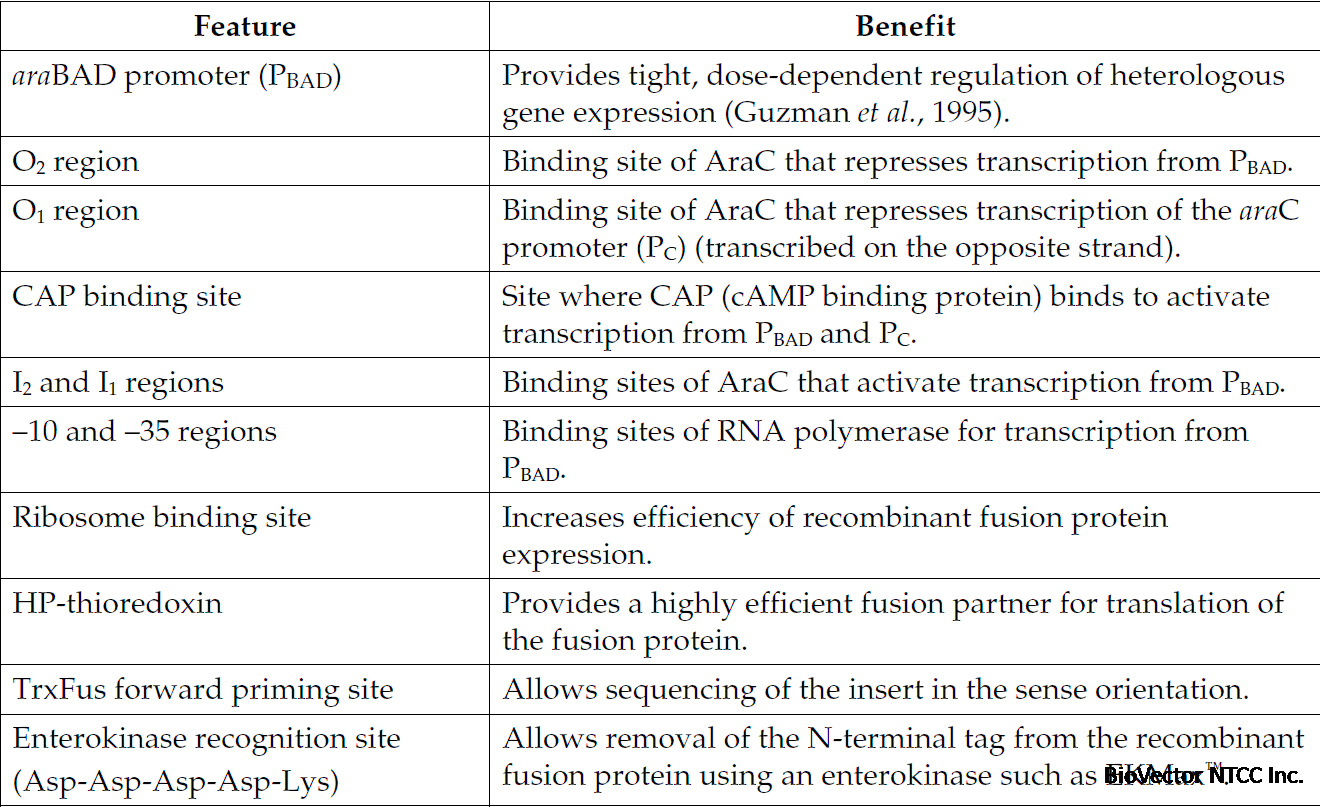pBAD102-D-TOPO 载体特征1.gif