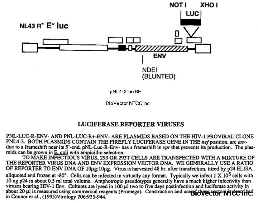 pNL4-3.Luc.R-E-质粒HIV骨架病毒报告载体luc萤火虫酶荧光表达。Firefly luciferase gene was inserted into the pNL4-3 nef.png