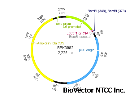 BPK3082 gRNA vector for LbCpf1 expression plasmid SQT1665.png