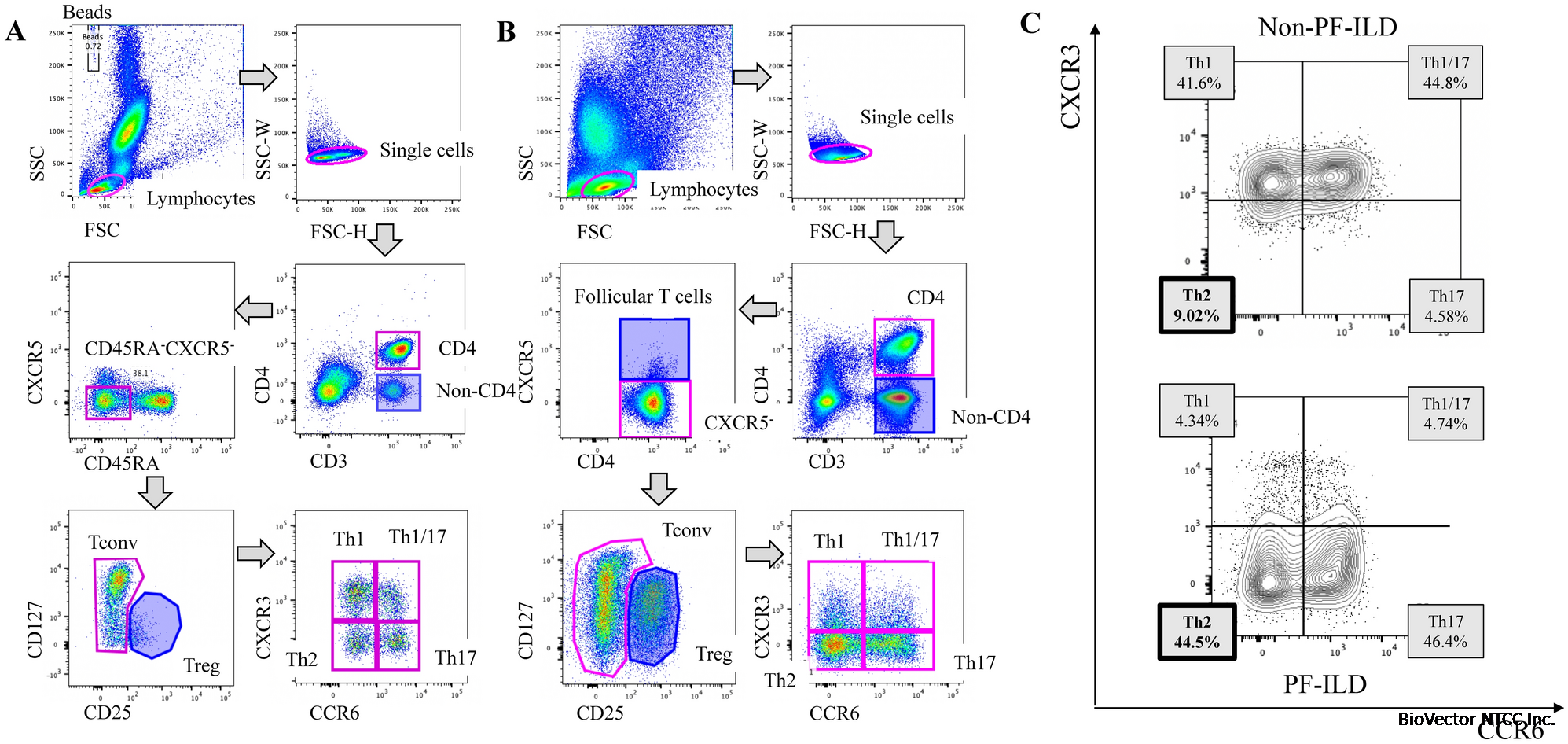 Lung CCR6−CXCR3− type 2 helper T cells as an indicator of progressive  fibrosing interstitial lung diseases | Scientific Reports