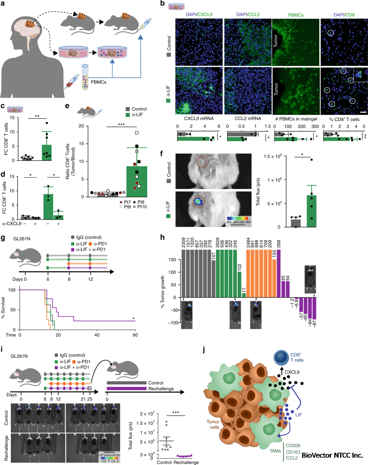 LIF regulates CXCL9 in tumor-associated macrophages and prevents CD8+ T cell  tumor-infiltration impairing anti-PD1 therapy | Nature Communications