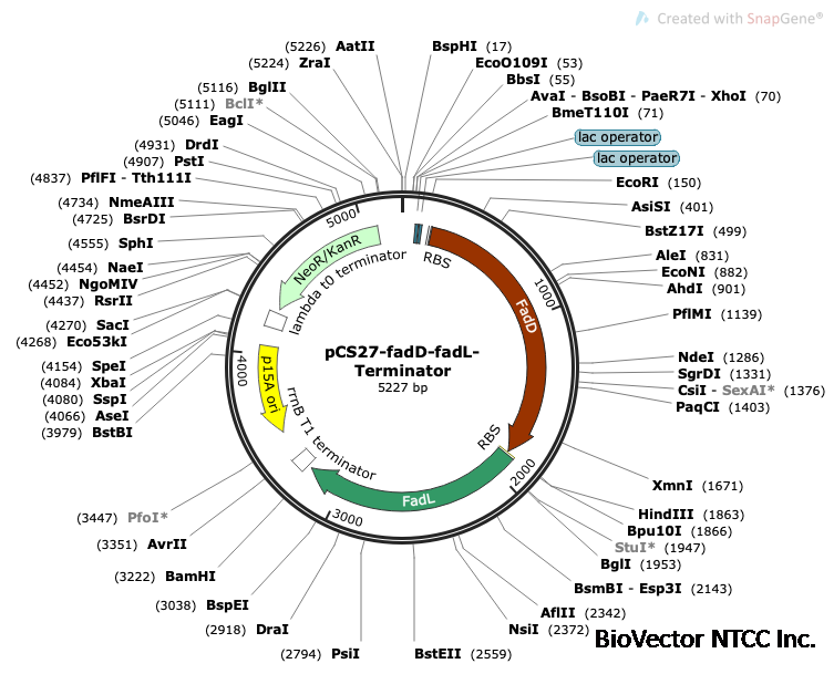 Team:BUCT/Design - 2021.igem.org