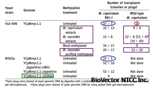 molecular biology webpage