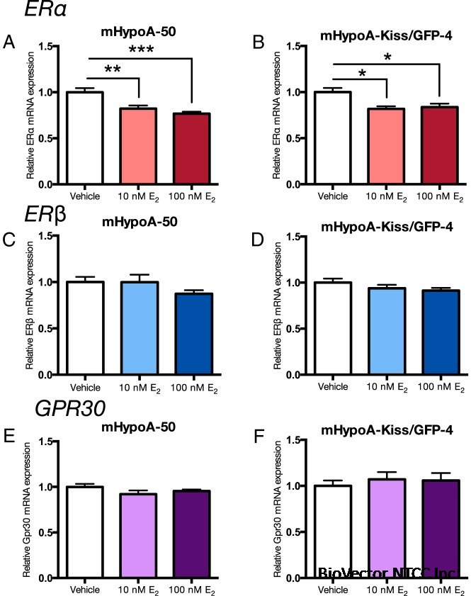 Divergent Regulation of ER and Kiss Genes by 17β-Estradiol in ...